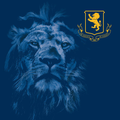 View All Collections